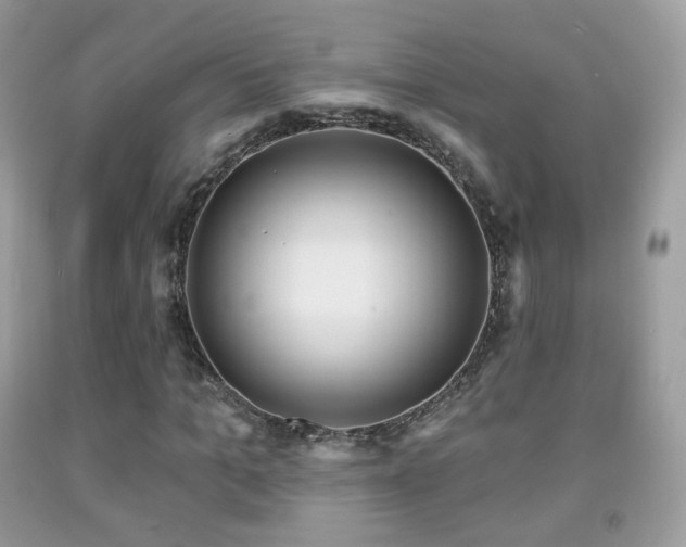 X0000091950965200709061237