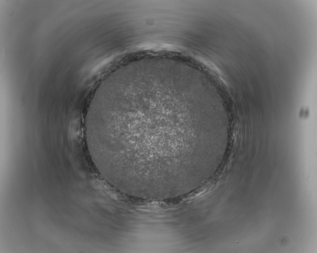 X0000091950966200709061237
