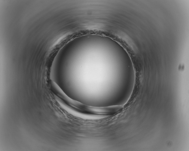 X0000091950968200709061237