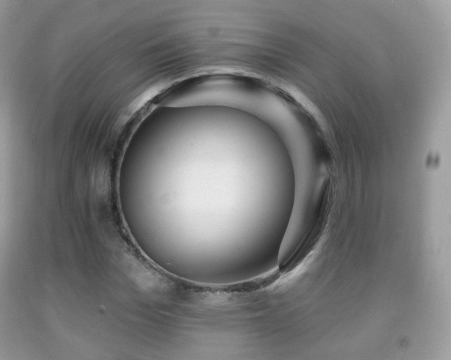 X0000091950969200709061237