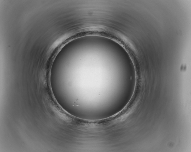 X0000091950970200709061237
