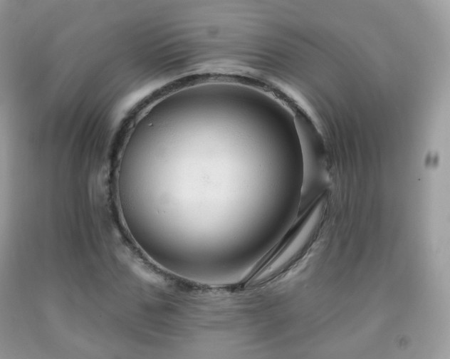 X0000091950971200709061237