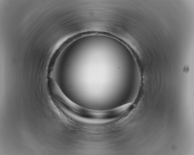 X0000091950972200709061237