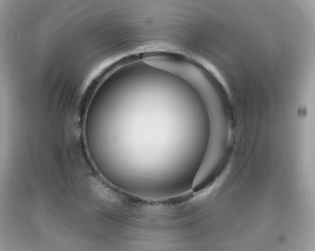 X0000091950973200709061237
