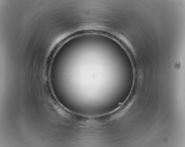 X0000091950974200709061237