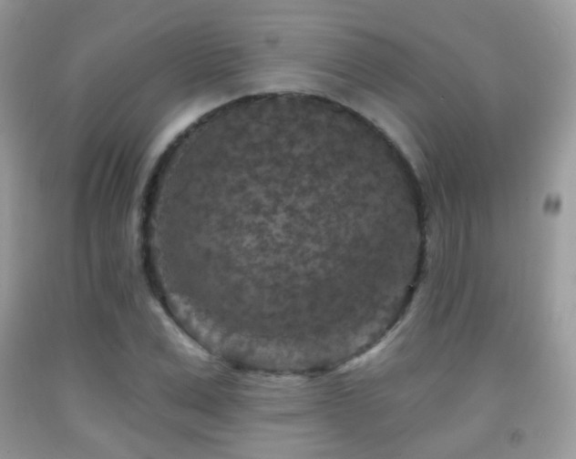 X0000091950975200709061237