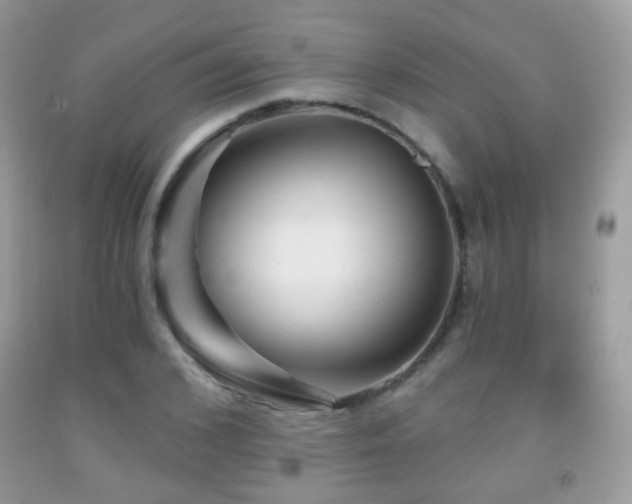 X0000091950976200709061237
