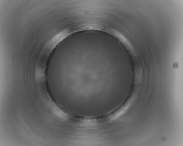 X0000091950977200709061237