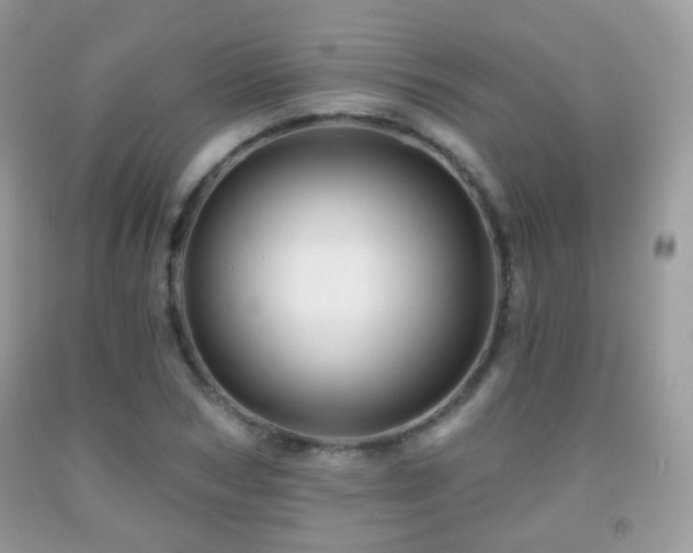 X0000091950978200709061237
