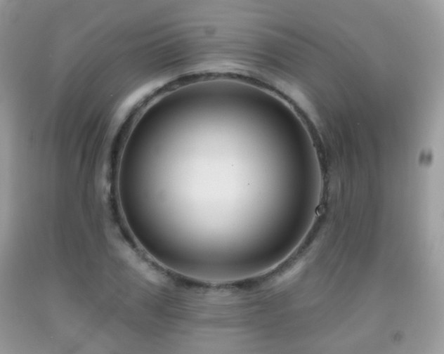 X0000091950979200709061237