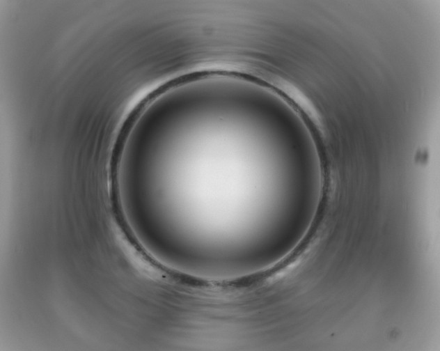X0000091950980200709061237