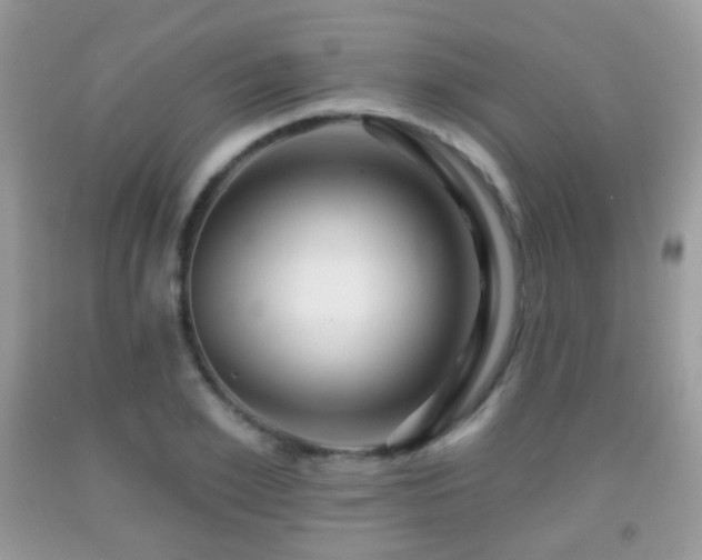 X0000091950981200709061237