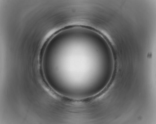 X0000091950982200709061237