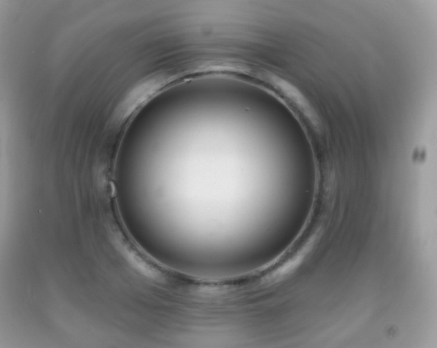X0000091950985200709061237