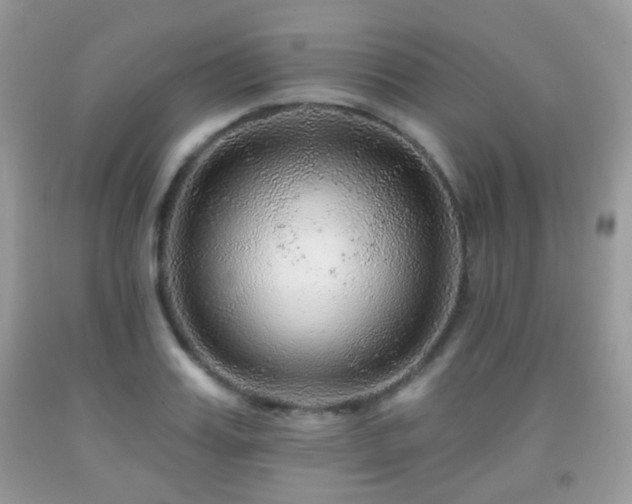 X0000091950987200709061237