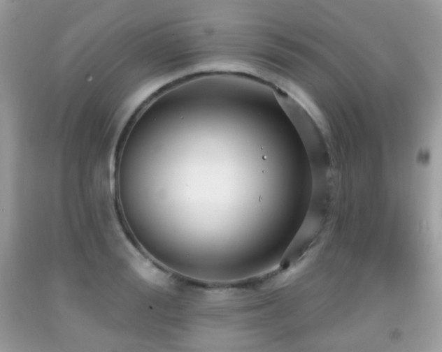 X0000091950988200709061237