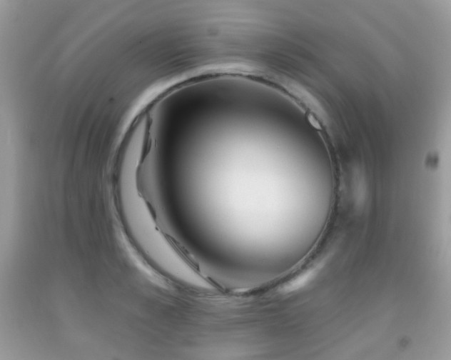 X0000091950989200709061237