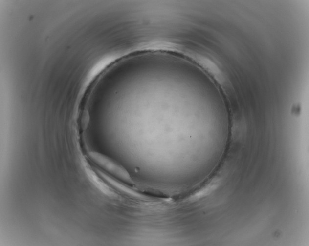 X0000091950990200709061237