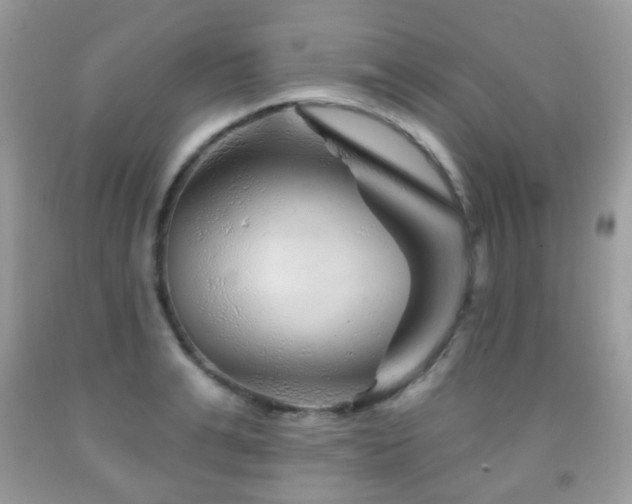 X0000091950991200709061237