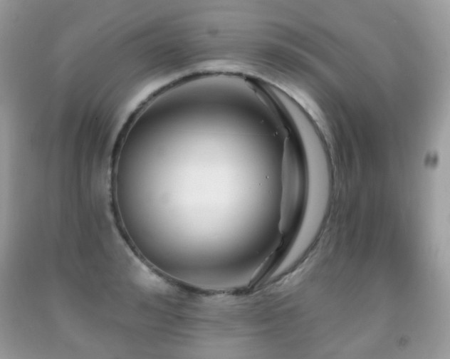 X0000091950992200709061237