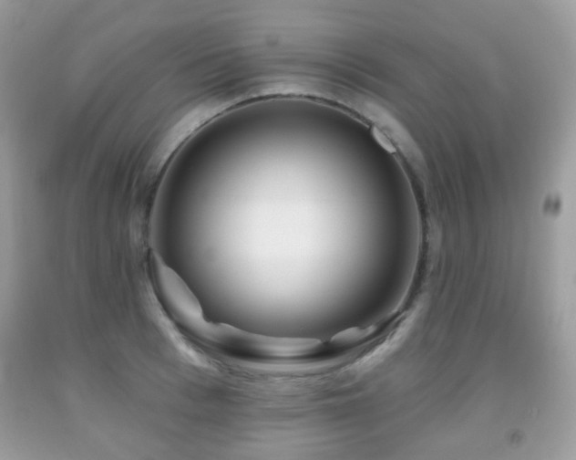 X0000091950993200709061237