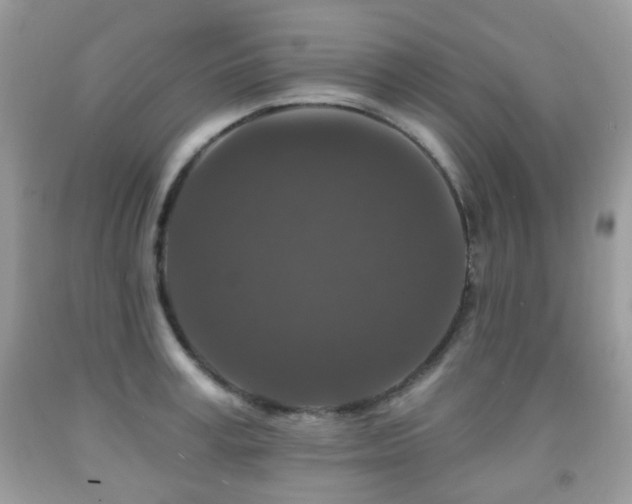 X0000091950995200709061237