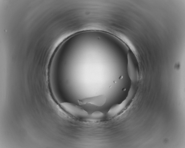 X0000091950996200709061236