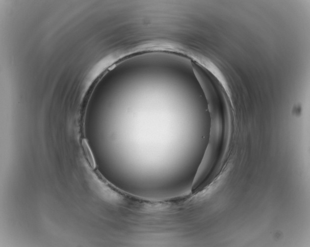 X0000091950997200709061236