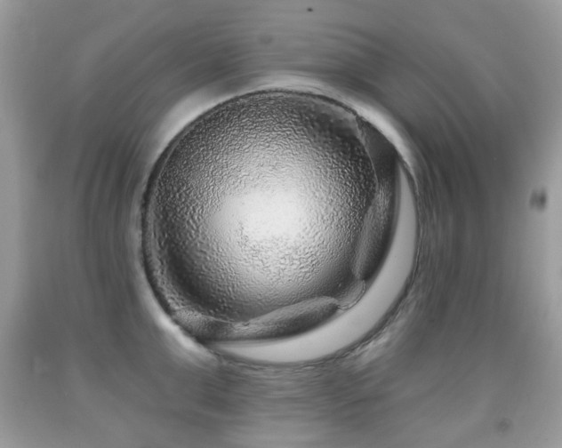 X0000091950999200709061236