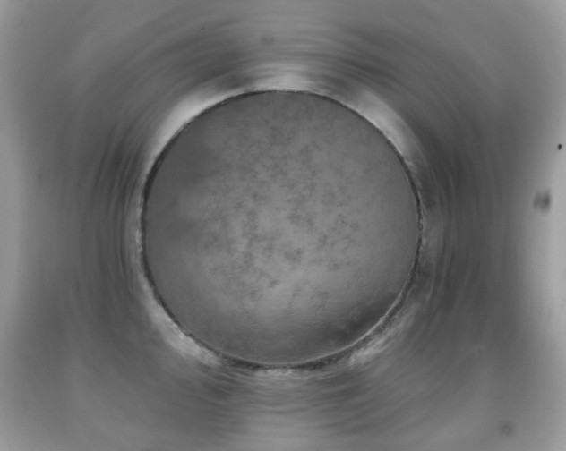 X0000091951000200709061236