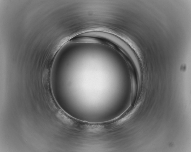 X0000091951001200709061236