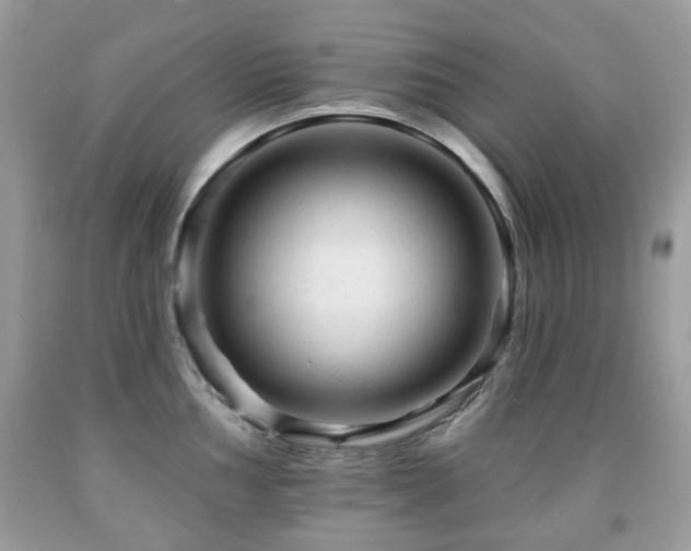 X0000091951002200709061236