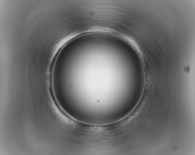 X0000091951003200709061236