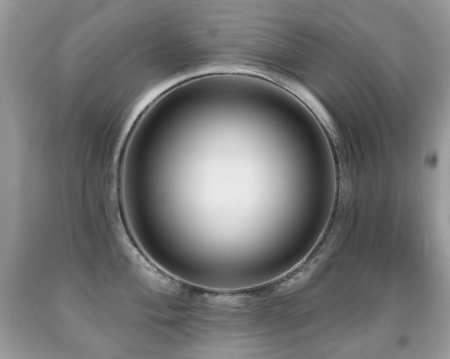 X0000091951004200709061236