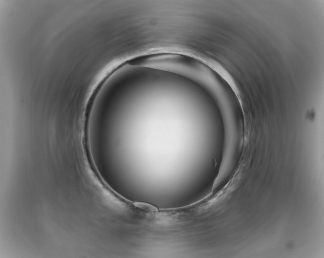X0000091951005200709061236