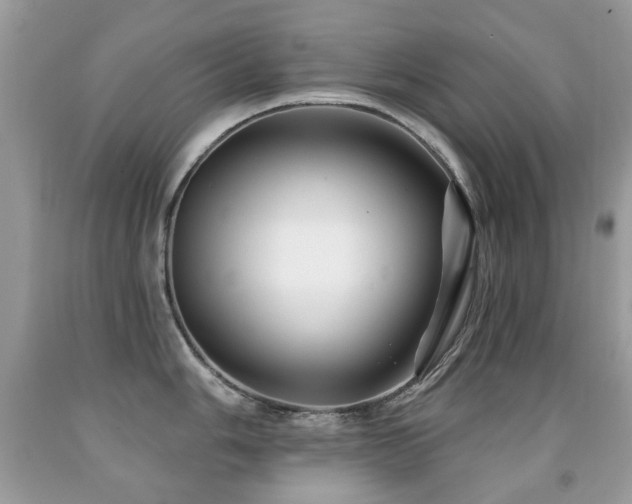 X0000091951006200709061236