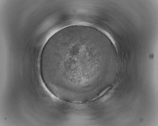X0000091951007200709061236