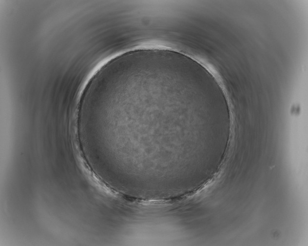 X0000091951008200709061236