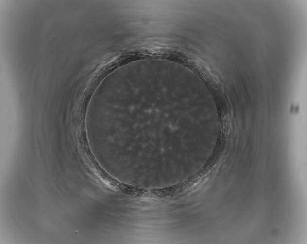 X0000091951009200709061236