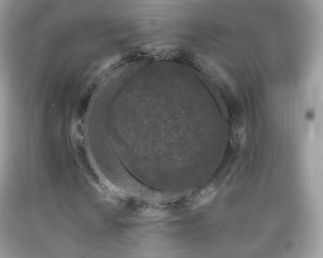 X0000091951010200709061236