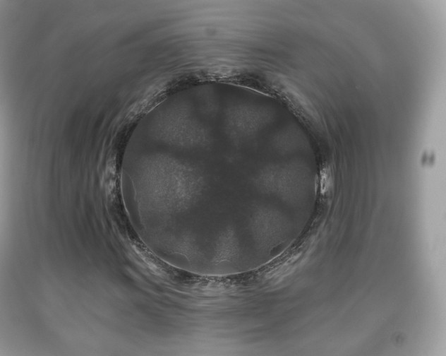 X0000091951011200709061236