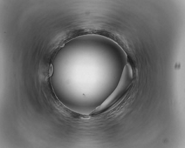 X0000091951012200709061236