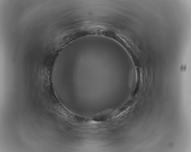 X0000091951013200709061236
