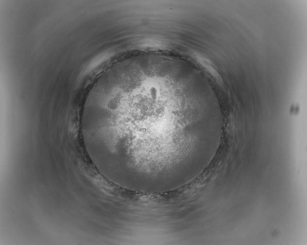 X0000091951015200709061236