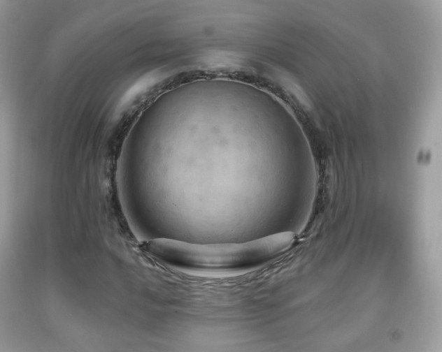 X0000091951016200709061236
