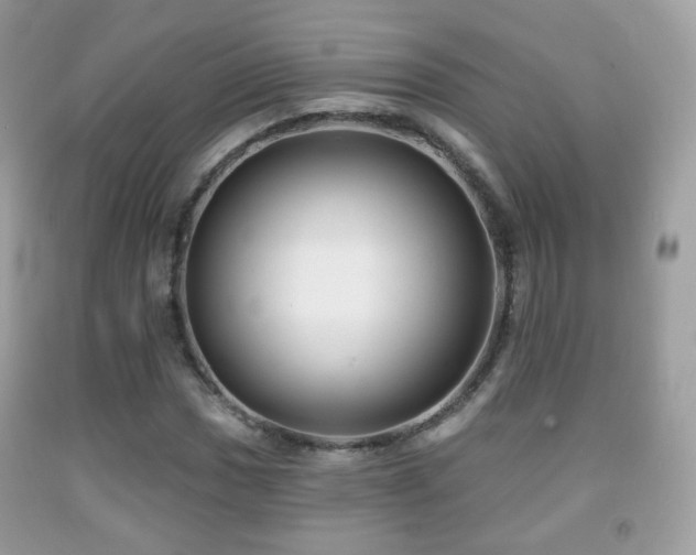 X0000091951017200709061236
