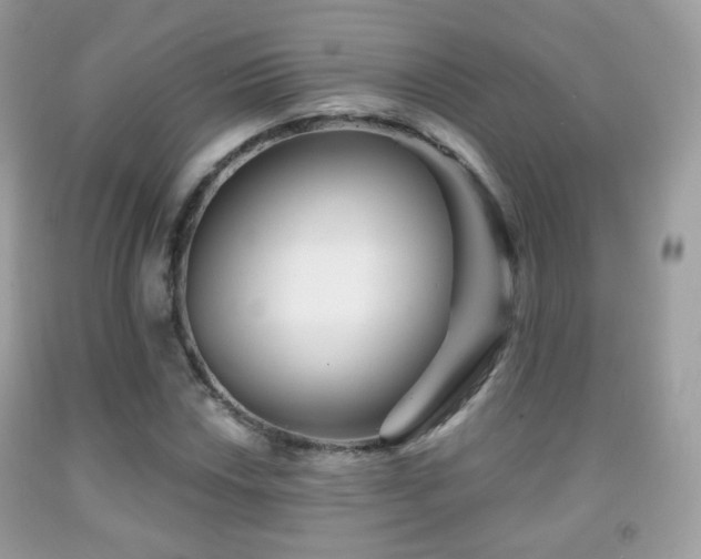 X0000091951018200709061236