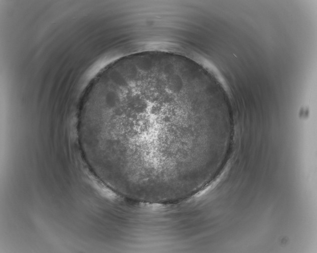 X0000091951019200709061236