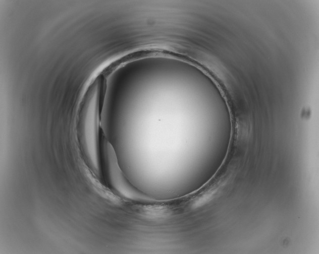 X0000091951020200709061236