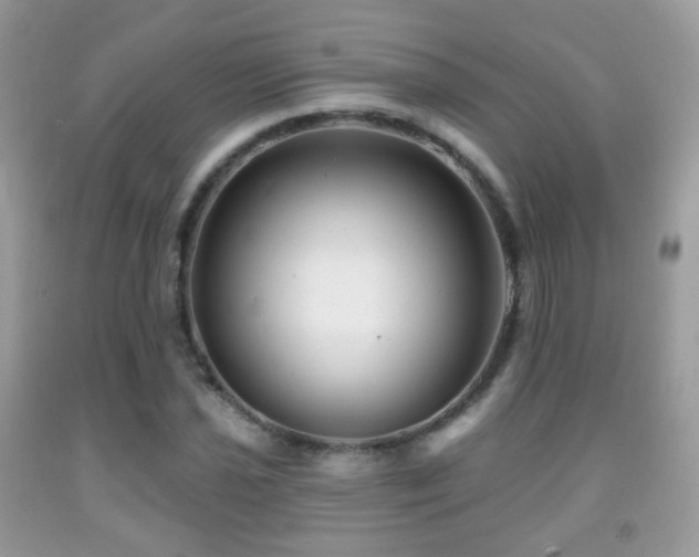 X0000091951021200709061236